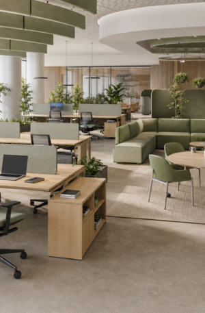 Biophilic Collaborative Office Solution